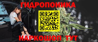 шишки Моздок