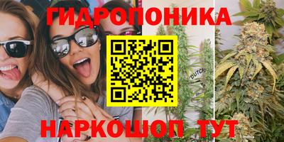 МДПВ Можга