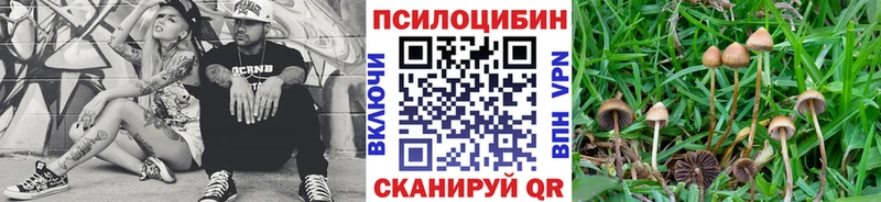 Галлюциногенные грибы Magic Shrooms  Белово 