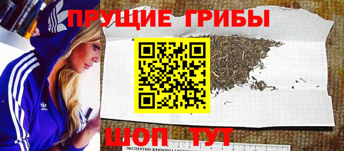 Псилоцибиновые грибы Magic Shrooms Белово