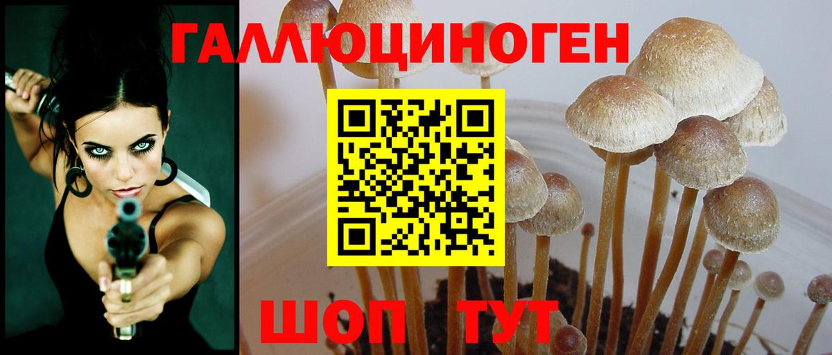Галлюциногенные грибы мицелий  Псилоцибиновые грибы Magic Shrooms  Вход с VPN  купить  сайты  Белово 
